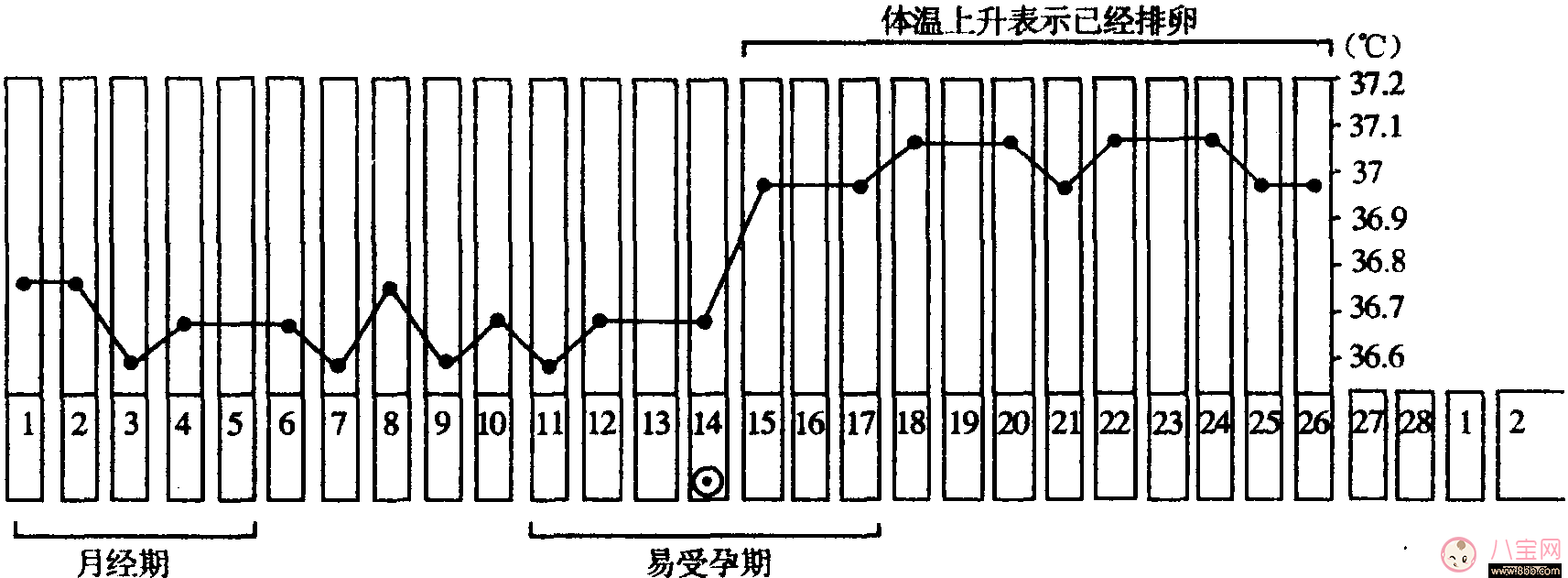 備孕首先應(yīng)該了解什么？宮頸黏液和排卵期是什么？