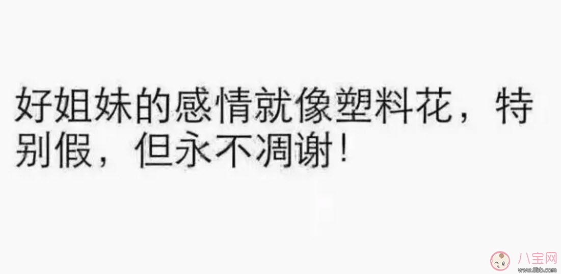 塑料姐妹花永遠不分家?塑料花友誼什么意思 娛樂圈那些塑料花姐妹友誼