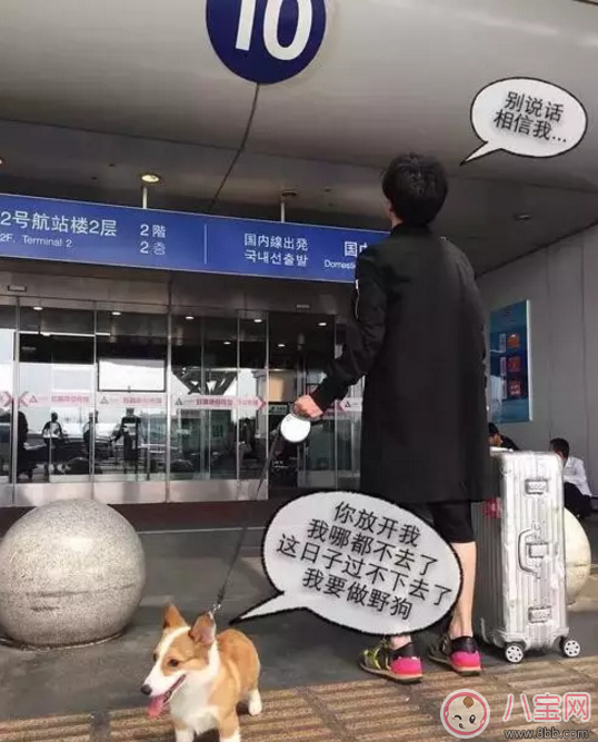 人生巔峰的薛之謙為什么把所有的一往情深都給了同一個人？