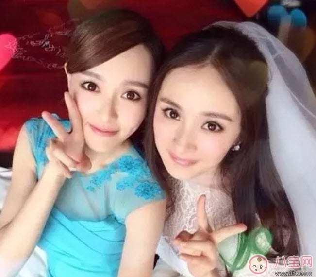 塑料姐妹花永遠不分家?塑料花友誼什么意思 娛樂圈那些塑料花姐妹友誼