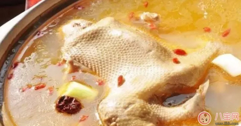 為什么秋季養生要吃鴨 秋天養生吃鴨有什么好處