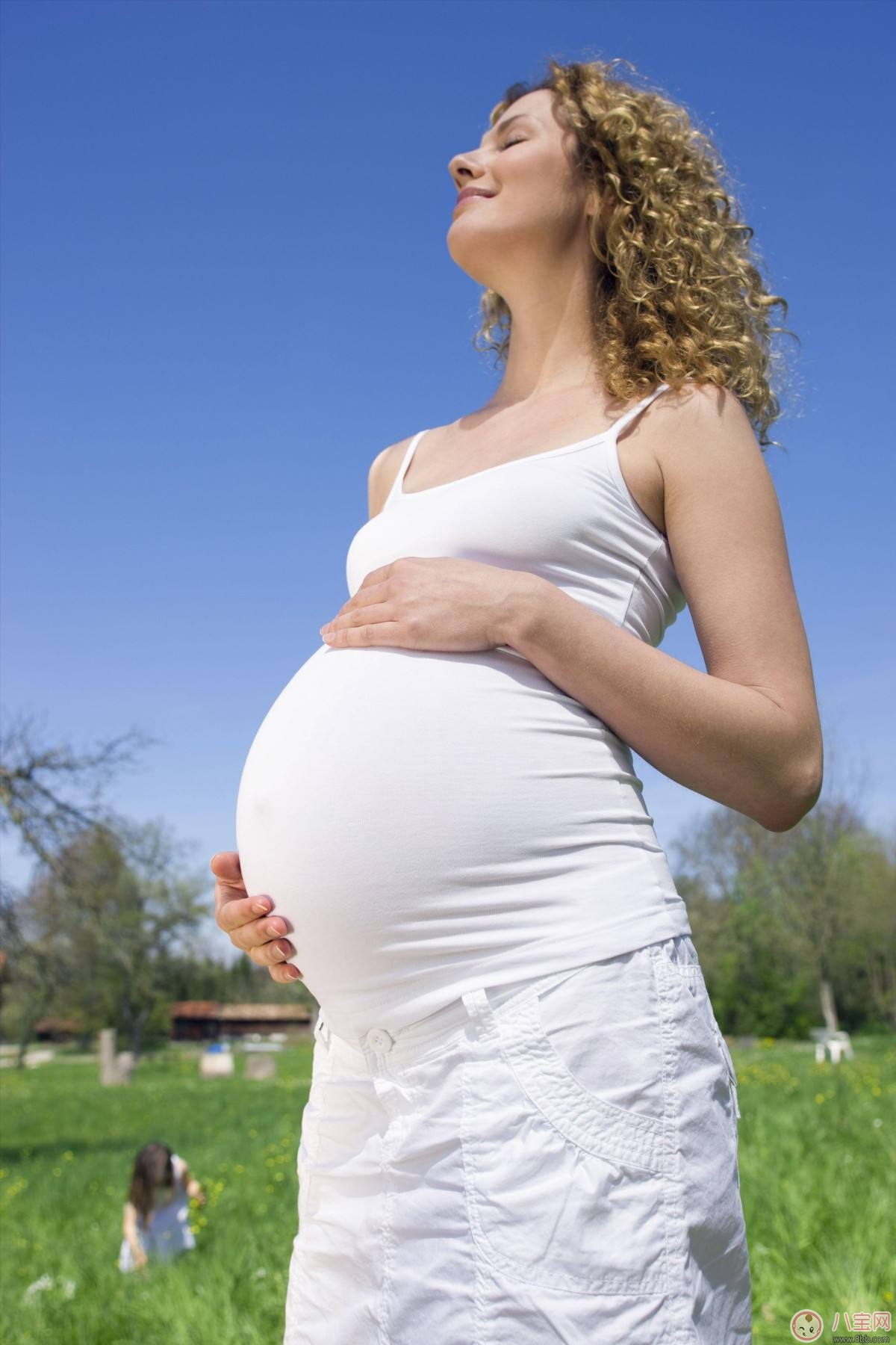 孕期如何補充營養 保健食品是否要按階段進補
