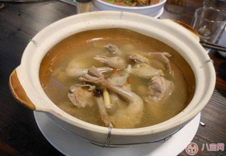 孕婦可以吃鴿子肉嗎 孕婦喝鴿子湯的營養好處