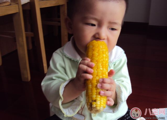 吃玉米竟然有這么多的好處 快給寶寶準(zhǔn)備上玉米大餐