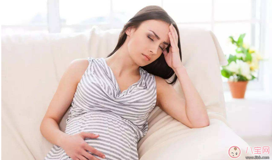 樟腦丸孕婦聞后致流產 家中秋季防霉、防蛀指南