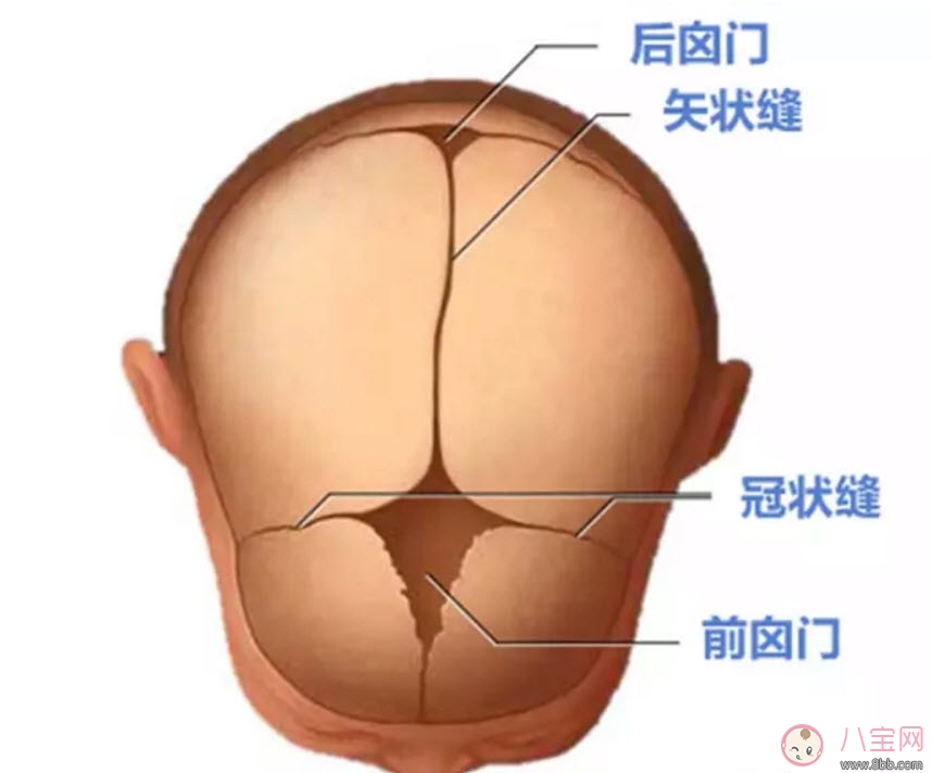 新生兒頭軟軟的正常嗎 新生兒頭上的軟包是什么