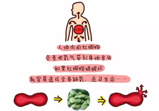 新生兒蠶豆病是否需要治療 蠶豆病能否根治