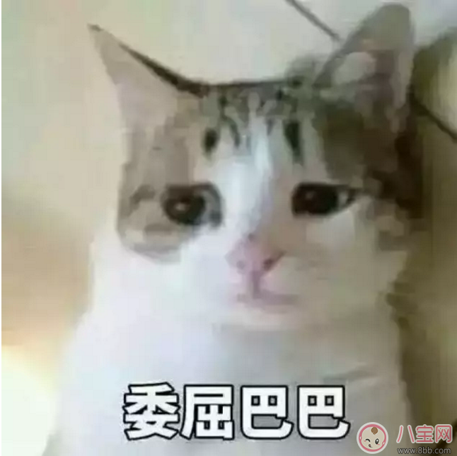 半數孩子不會剝殼 如何鍛煉孩子的自理能力