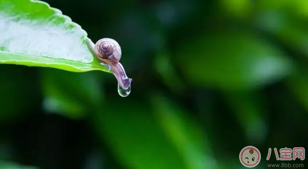 外面下雨了孩子不能出去玩 試試做這些事情吧