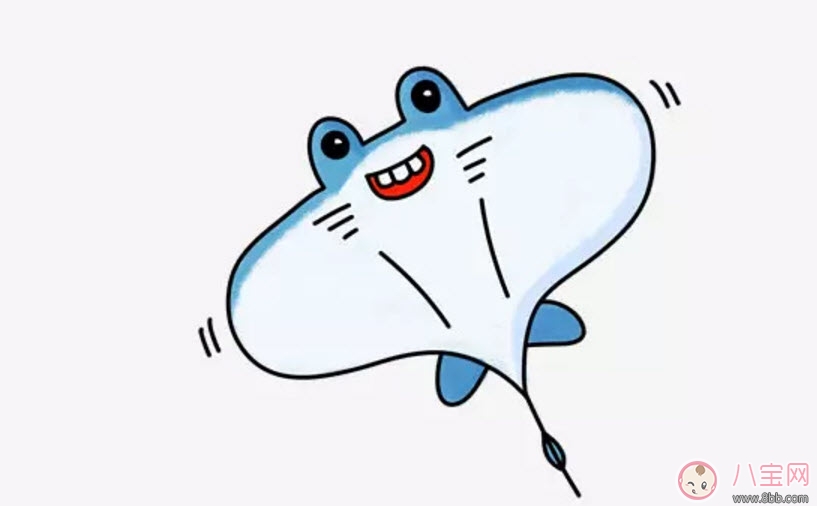 海洋生物趣味多 魚(yú)類(lèi)簡(jiǎn)筆畫(huà)