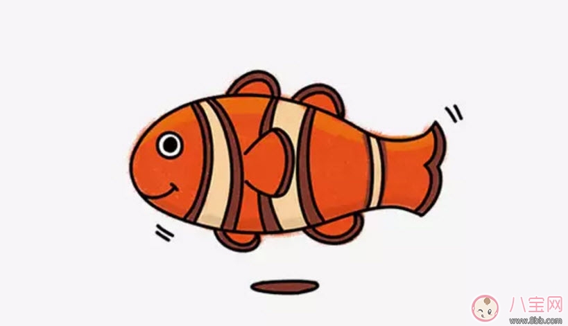 海洋生物趣味多 魚(yú)類(lèi)簡(jiǎn)筆畫(huà)