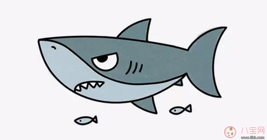 海洋生物趣味多 魚(yú)類(lèi)簡(jiǎn)筆畫(huà)