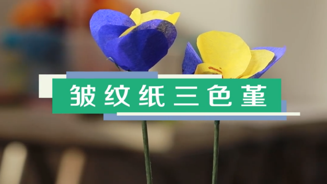 皺紋紙三色堇視頻教程 皺紋紙三色堇制作方法