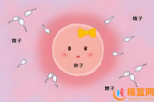 排卵期女性易察覺(jué)的3種跡象，把握時(shí)機(jī)“造人”成功率更高！