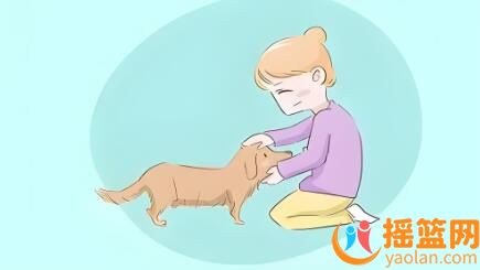 懷孕期間，養寵物安全嗎？