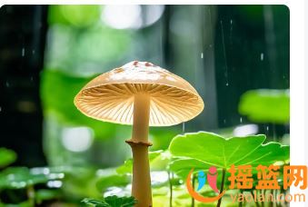 宮頸健康是關鍵，這些方法真的有效果！