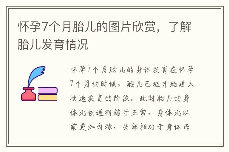 懷孕7個月胎兒的圖片欣賞，了解胎兒發育情況
