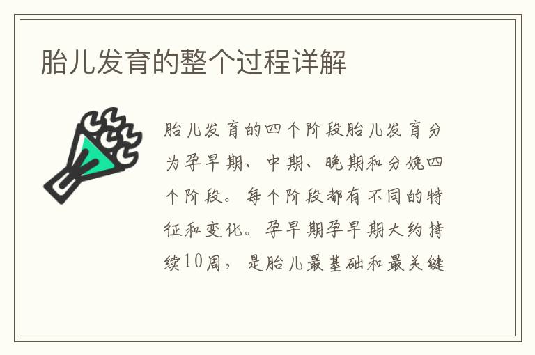 胎兒發育的整個過程詳解