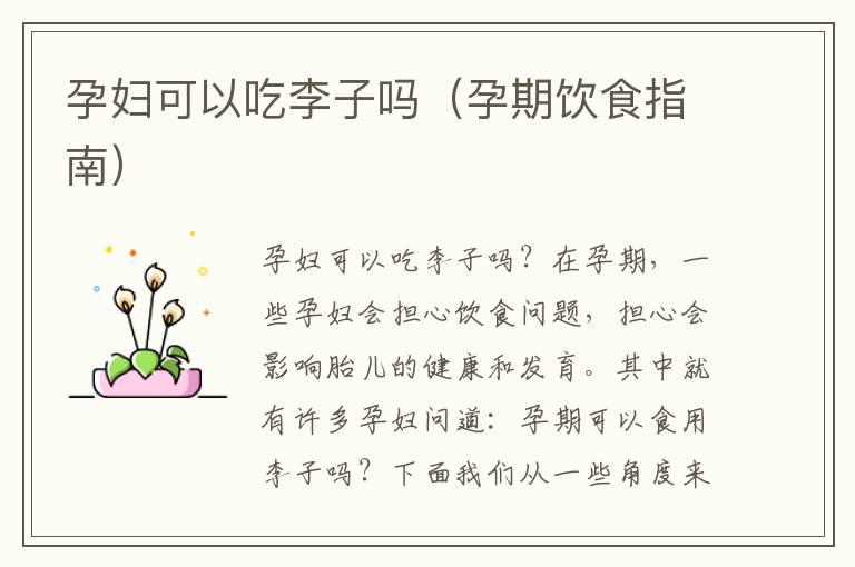 孕婦可以吃李子嗎（孕期飲食指南）