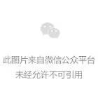 音樂(lè)嗚嗚嗚嗚是什么歌_音樂(lè)是唱歌嗎_音樂(lè)是啥呀