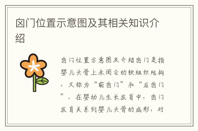 囟門位置示意圖及其相關知識介紹