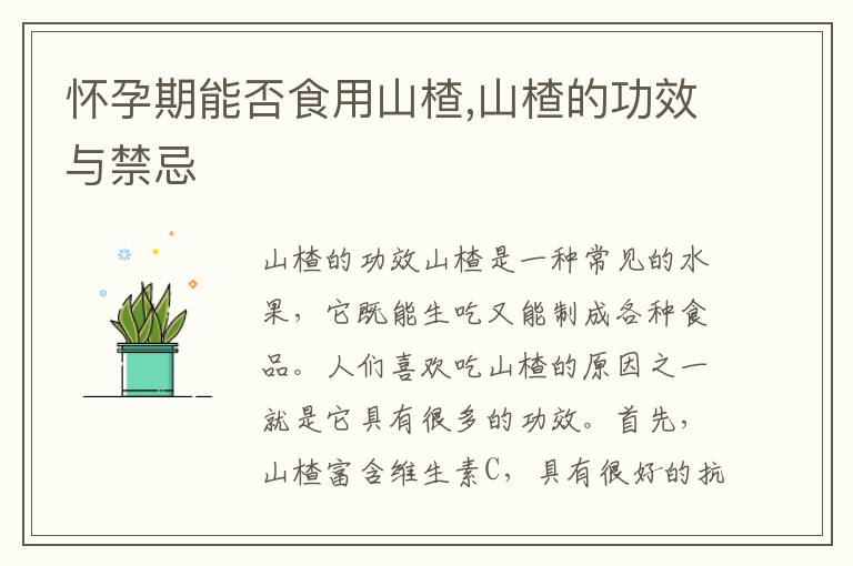 懷孕期能否食用山楂,山楂的功效與禁忌