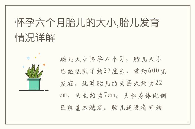 懷孕六個(gè)月胎兒的大小,胎兒發(fā)育情況詳解