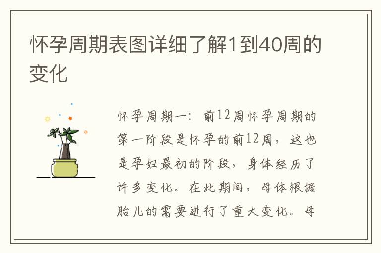 懷孕周期表圖詳細(xì)了解1到40周的變化