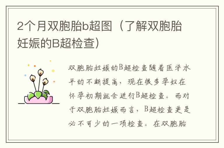 2個(gè)月雙胞胎b超圖（了解雙胞胎妊娠的B超檢查）