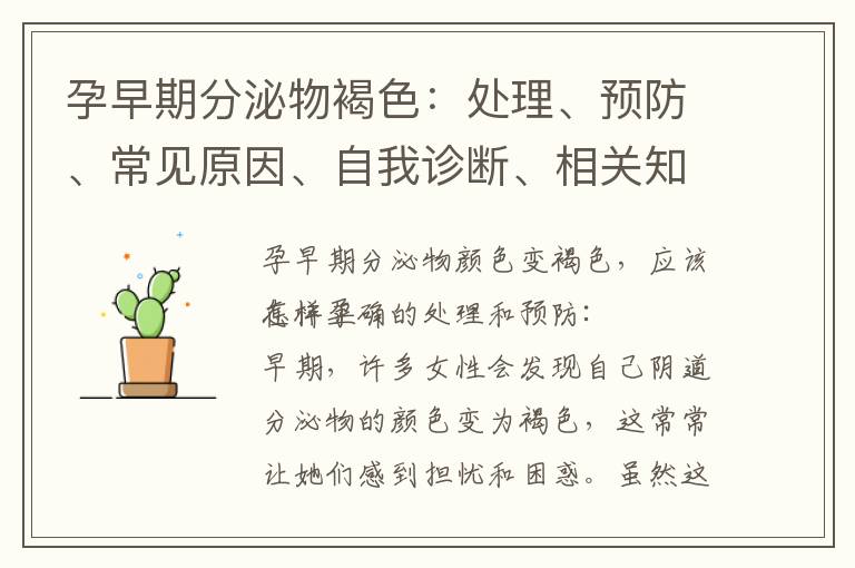 孕早期分泌物褐色：處理、預防、常見原因、自我診斷、相關知識和緊急就醫判斷