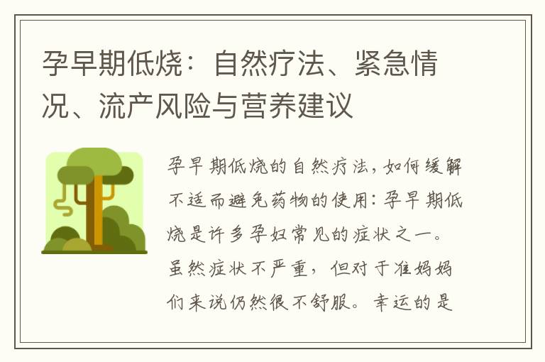 孕早期低燒：自然療法、緊急情況、流產(chǎn)風(fēng)險(xiǎn)與營(yíng)養(yǎng)建議
