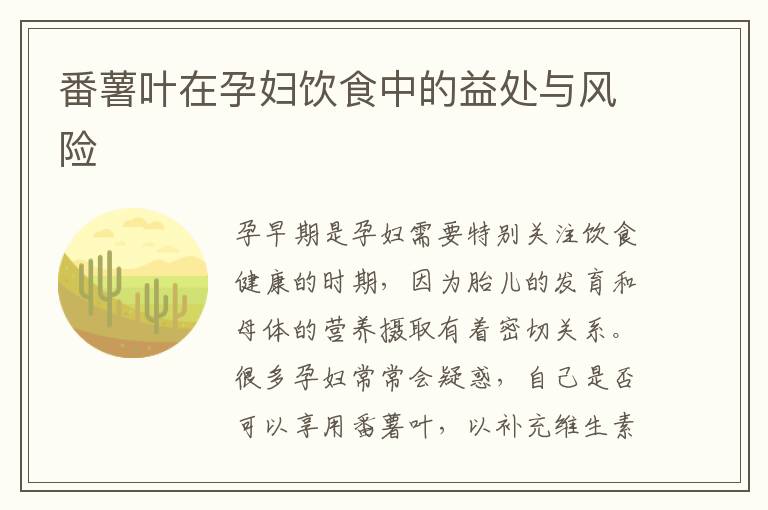 番薯葉在孕婦飲食中的益處與風險