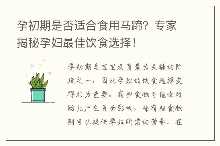 孕初期是否適合食用馬蹄？專家揭秘孕婦最佳飲食選擇！