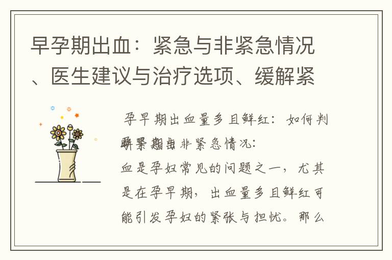 早孕期出血：緊急與非緊急情況、醫生建議與治療選項、緩解緊張情緒與焦慮方法