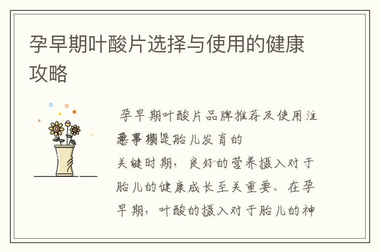 孕早期葉酸片選擇與使用的健康攻略