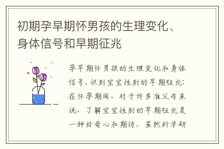 初期孕早期懷男孩的生理變化、身體信號(hào)和早期征兆