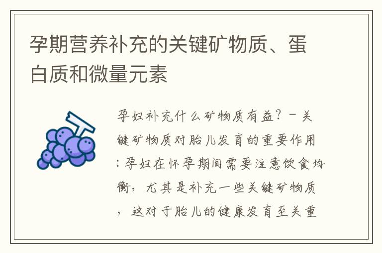 孕期營養補充的關鍵礦物質、蛋白質和微量元素