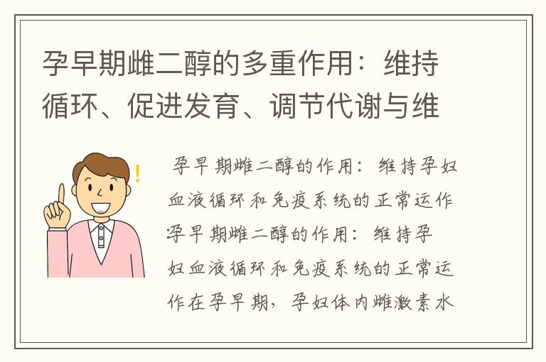 孕早期雌二醇的多重作用：維持循環、促進發育、調節代謝與維護健康