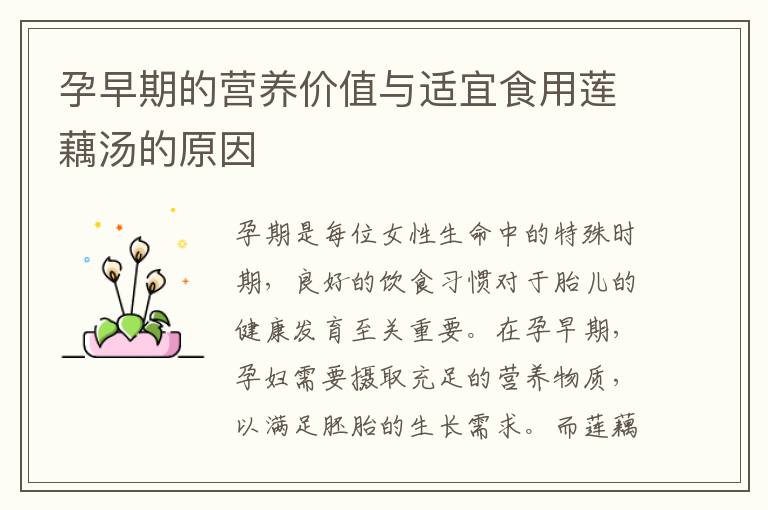 孕早期的營養(yǎng)價值與適宜食用蓮藕湯的原因
