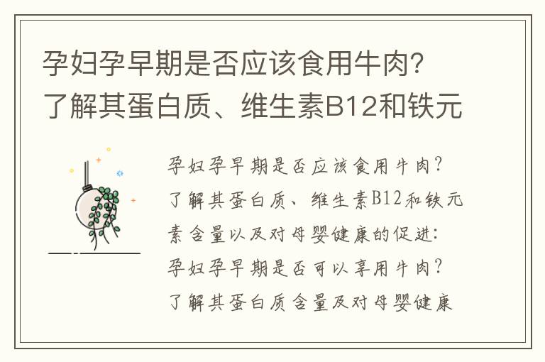 孕婦孕早期是否應(yīng)該食用牛肉？了解其蛋白質(zhì)、維生素B12和鐵元素含量以及對母嬰健康的促進_孕早期吃了皮蛋怎么