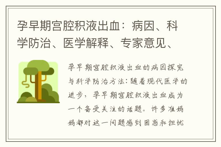 孕早期宮腔積液出血：病因、科學防治、醫學解釋、專家意見、生活小竅門、預防措施與健康飲食建議