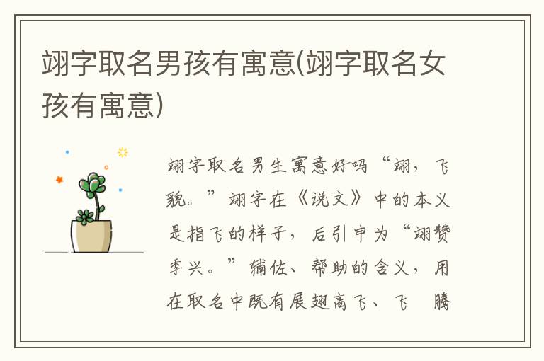 翊字取名男孩有寓意(翊字取名女孩有寓意)