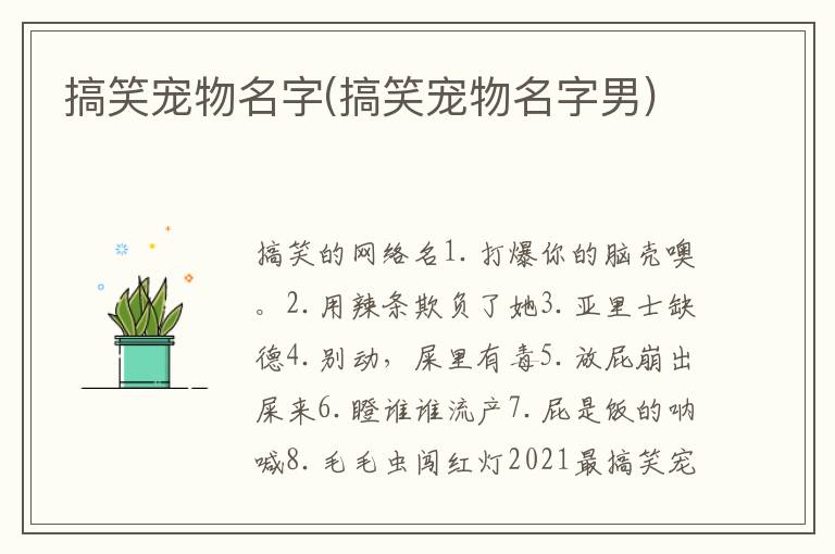 搞笑寵物名字(搞笑寵物名字男)