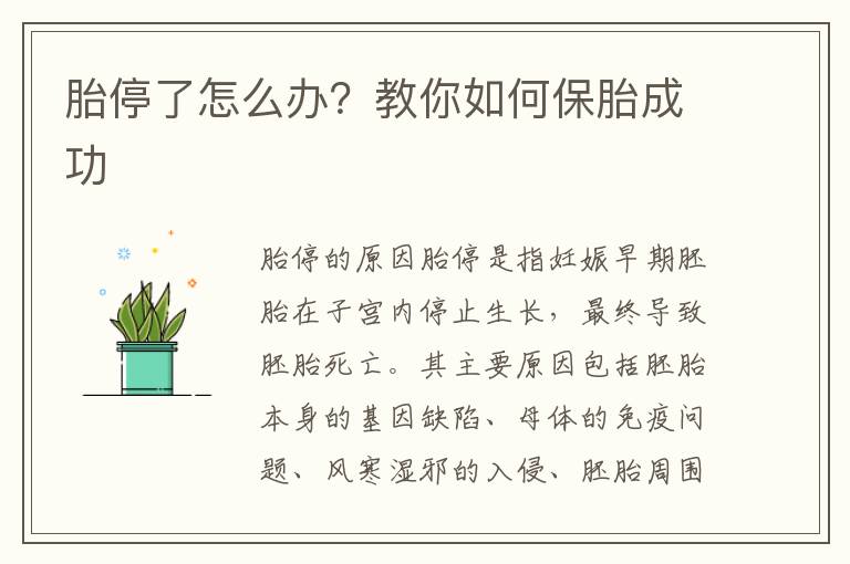 胎停了怎么辦？教你如何保胎成功