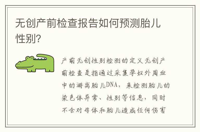 無創(chuàng)產(chǎn)前檢查報告如何預測胎兒性別？