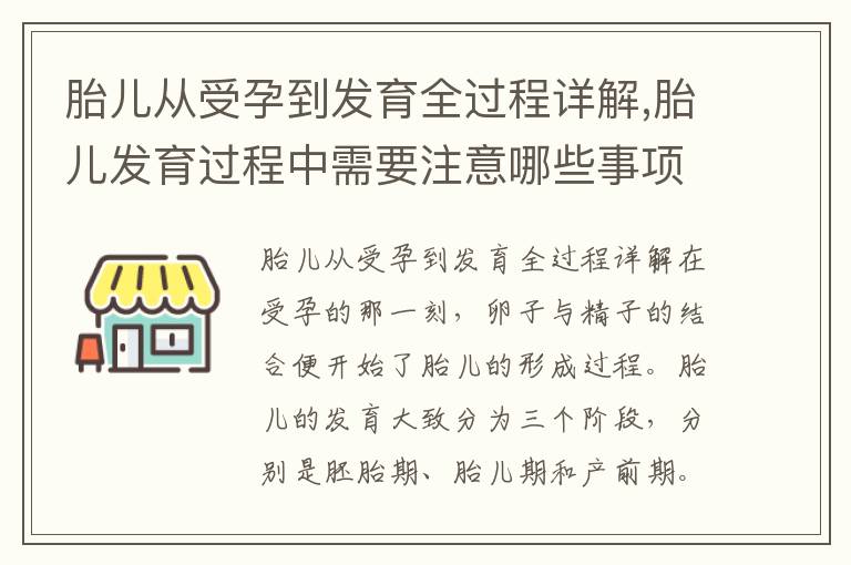 胎兒從受孕到發(fā)育全過程詳解,胎兒發(fā)育過程中需要注意哪些事項