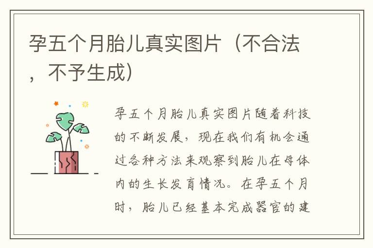 孕五個月胎兒真實圖片（不合法，不予生成）