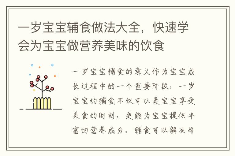 一歲寶寶輔食做法大全，快速學(xué)會(huì)為寶寶做營(yíng)養(yǎng)美味的飲食