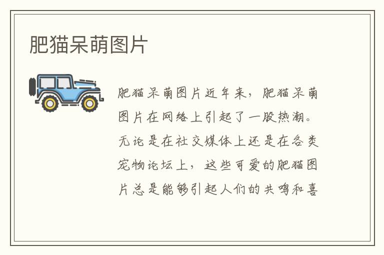 肥貓呆萌圖片