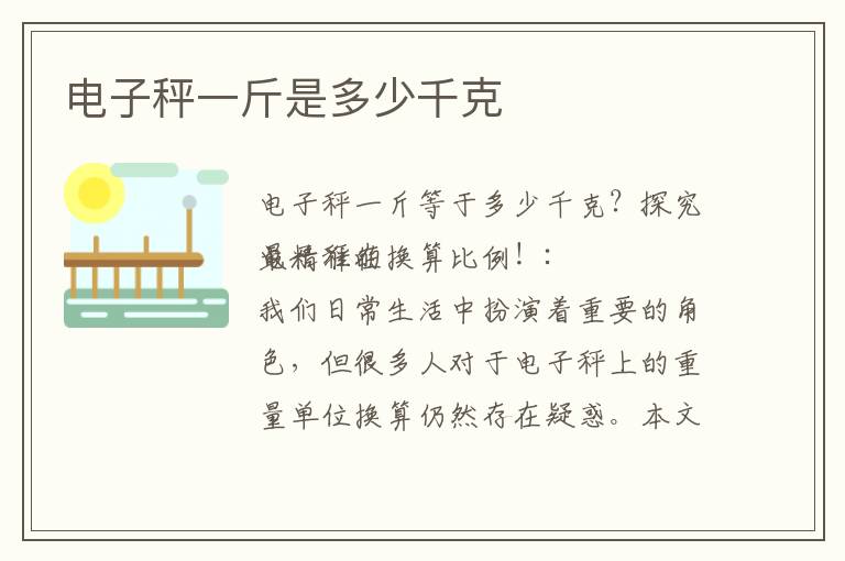 電子秤一斤是多少千克